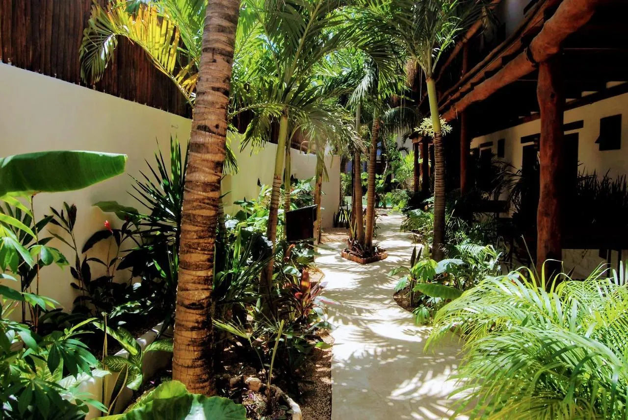 Hotel Boutique Terranova Tulum Mexico