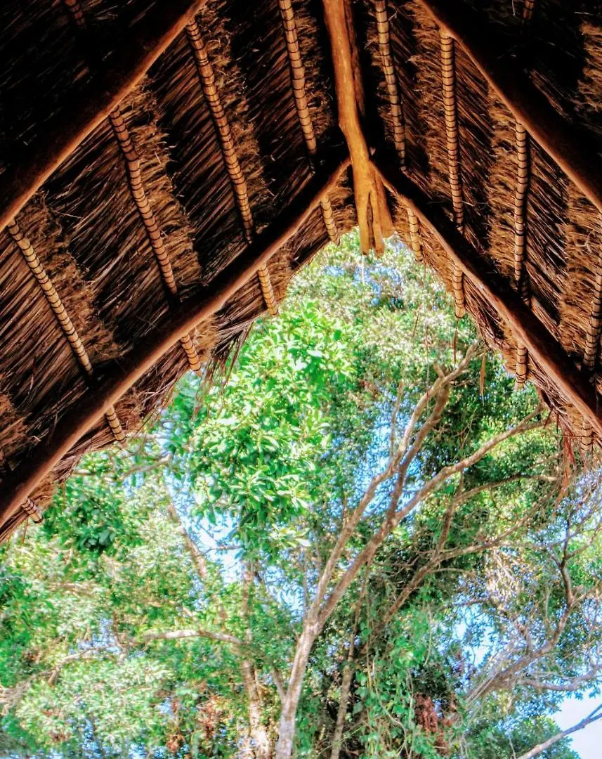 Hotel Boutique Terranova Tulum